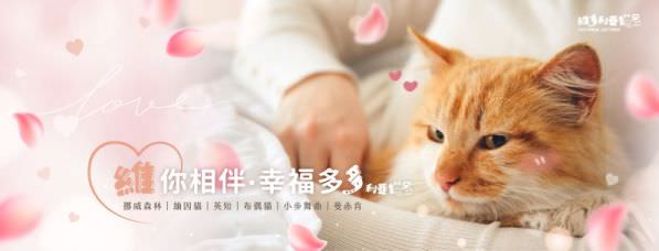 Facebook 社群臉書封面照片範例