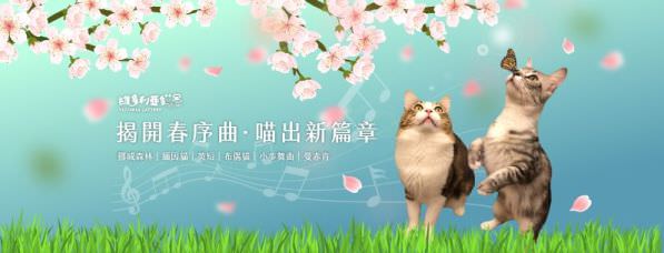 Facebook 社群臉書封面照片範例
