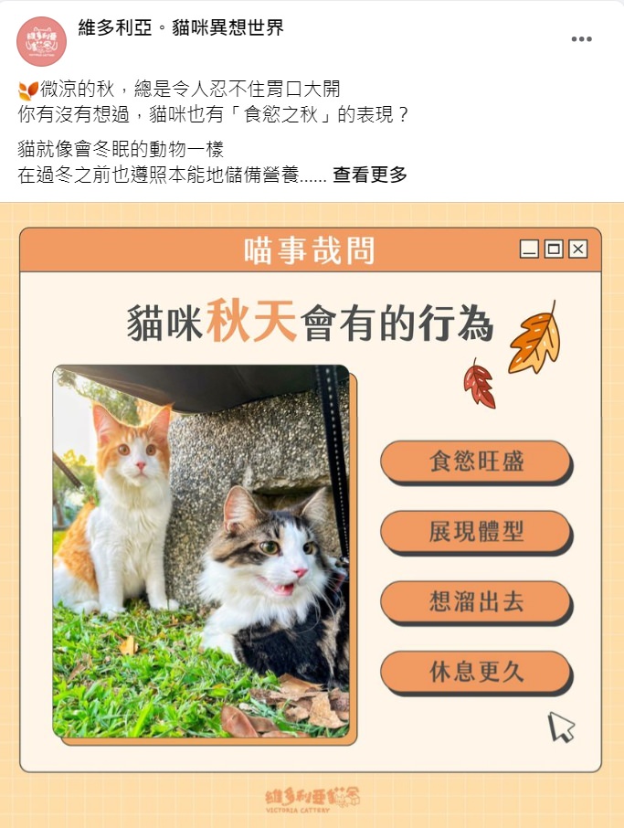 Facebook 社群贴文范例